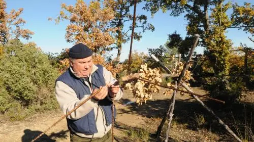 Vers la fin de la chasse à la glue ?