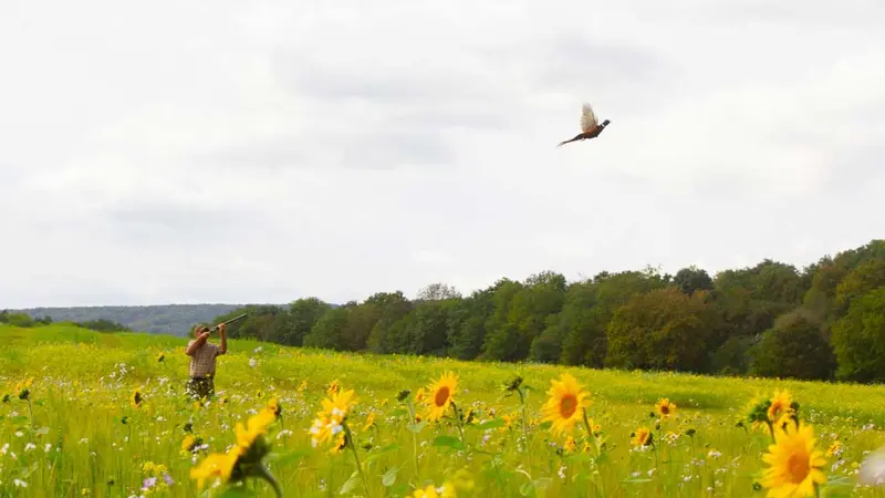 Reportage : la chasse de la Hayette (54)