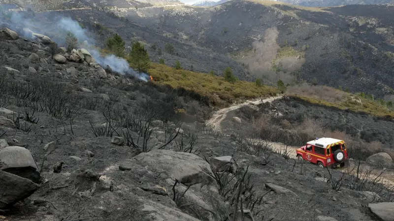Zone incendiés en Corse, des écologistes souhaitent limiter la chasse aux abords