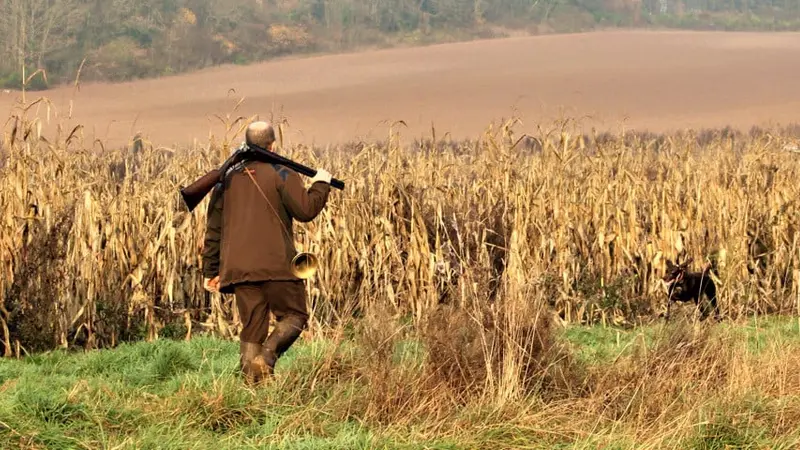 Chasse à la journée au domaine de Saint Cyr, en Essonne