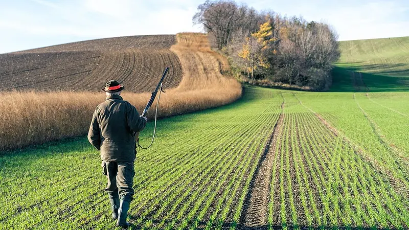 La FDC des Landes gagne en justice et la chasse à 1km/1h redevient possible !