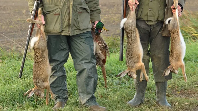 La chasse