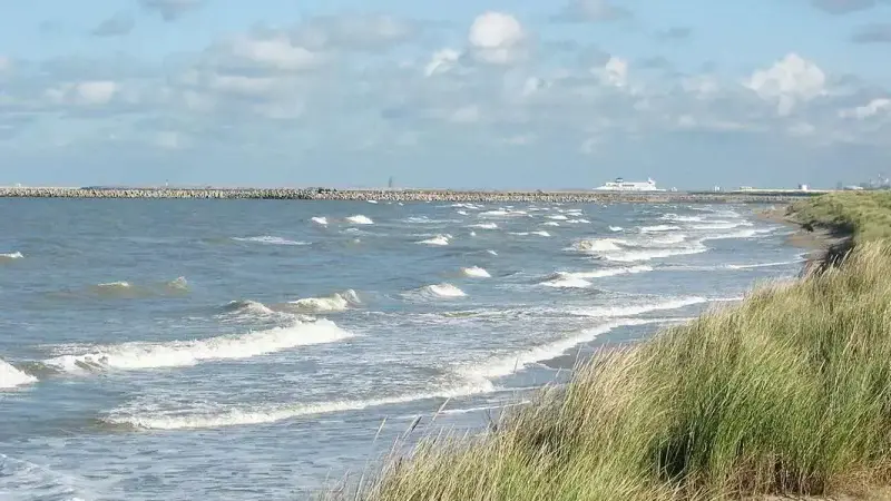 La préfecture du Pas-de-Calais prend des mesures suite à l’attaque de migrants sur une hutte de chasse