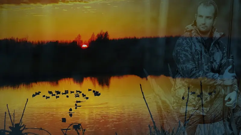 chasse de nuit