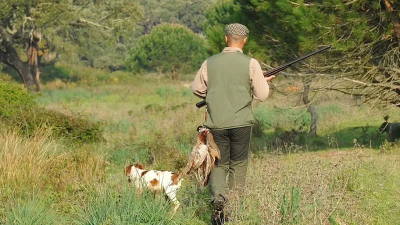 Chasse à la journée de la Miranderie en Dordogne