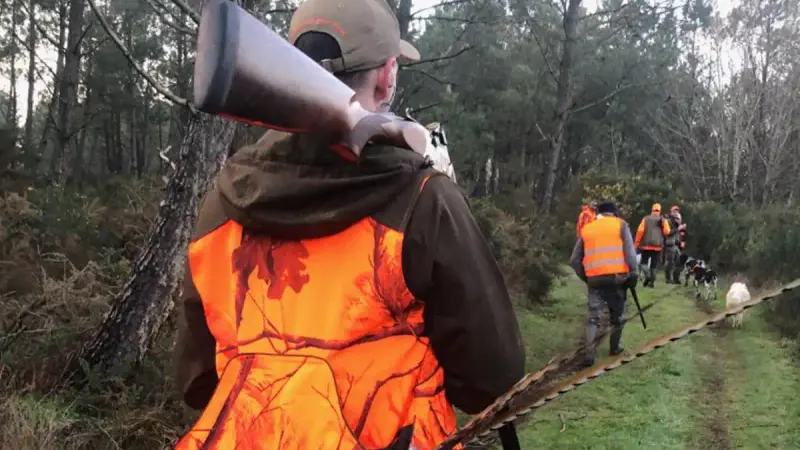 Interdiction de la chasse suite aux fortes chaleurs : le gouvernement refuse une suspension générale
