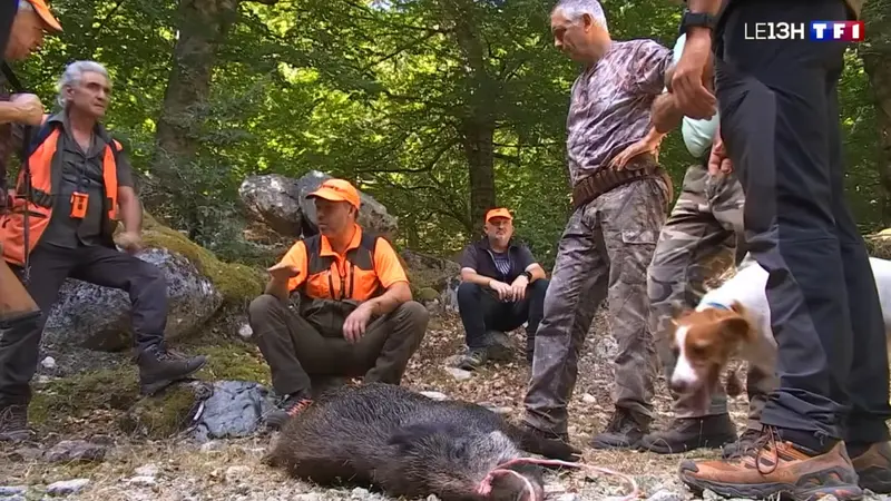 [Reportage] L’ouverture de la chasse aux sangliers en Corse