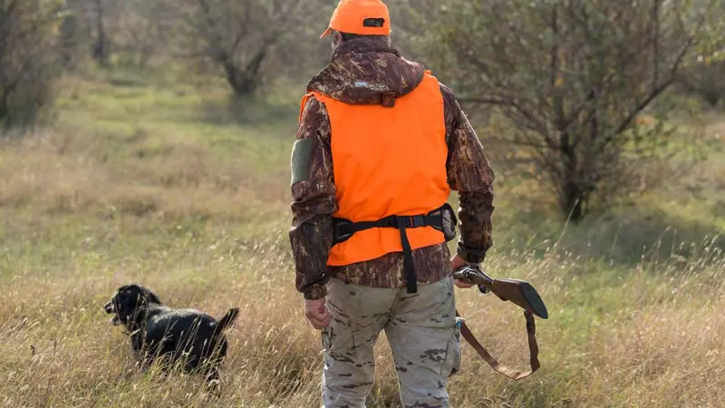Gironde : chasse et pêche interdite après la mort de deux chiens près de Bordeaux