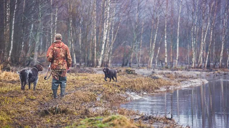 Chasse : stop ou encore ?