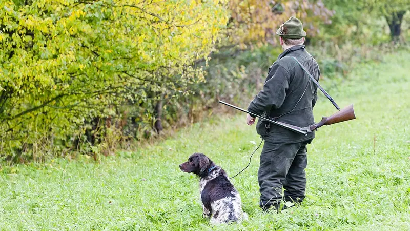 Suisse : une pénurie de chasseurs qui commence à coûter cher