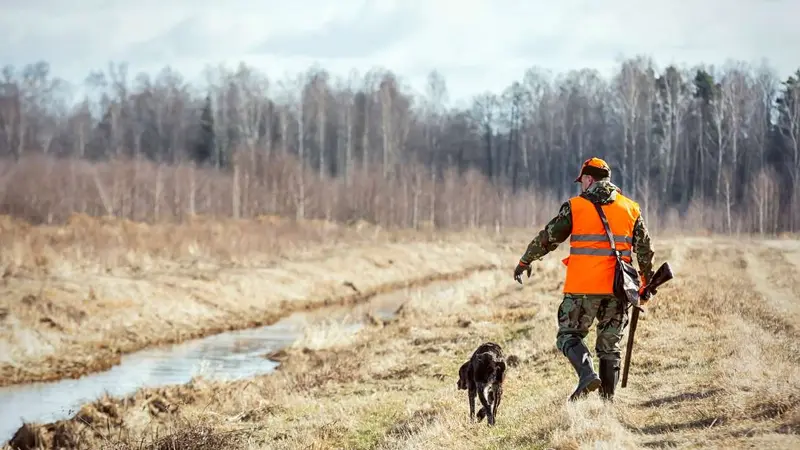 Une nouvelle étude révèle que 70% des Français soutiennent ou acceptent la pratique de la chasse