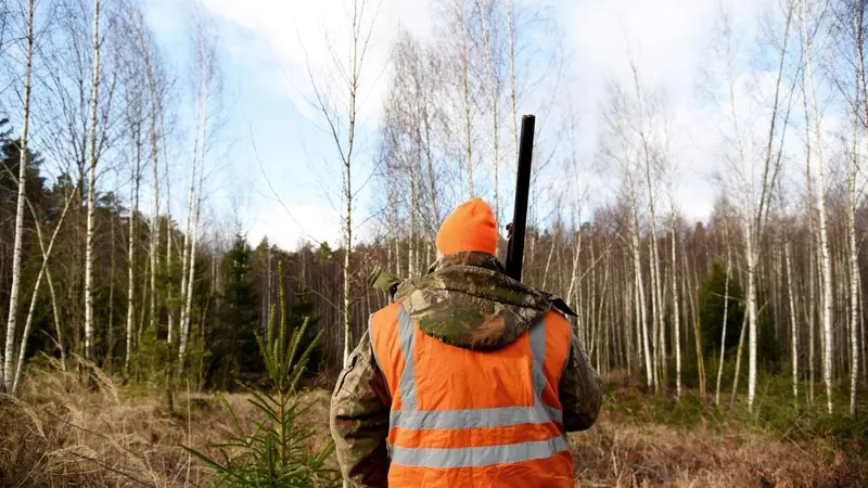 Accidents de chasse : Willy Schraen demande de « resserrer les boulons »