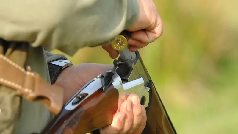 Limitation de la chasse en Haute-Corse pendant le confinement : les chasseurs l’emportent au tribunal