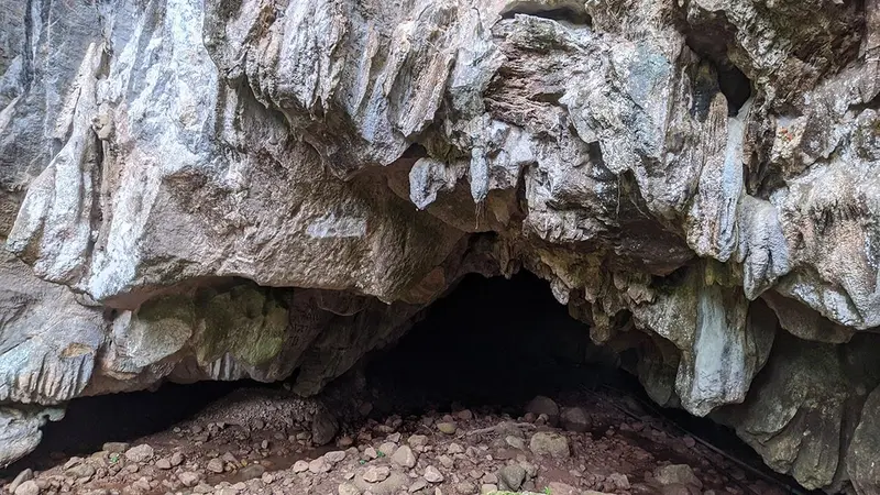 Un chasseur coincé avec ses chiens sous une roche