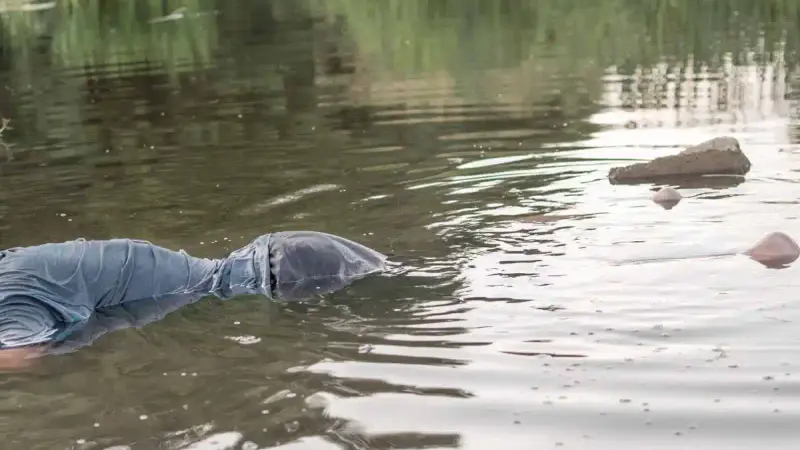 Un chasseur meurt en voulant récupérer son chien de chasse dans un bassin