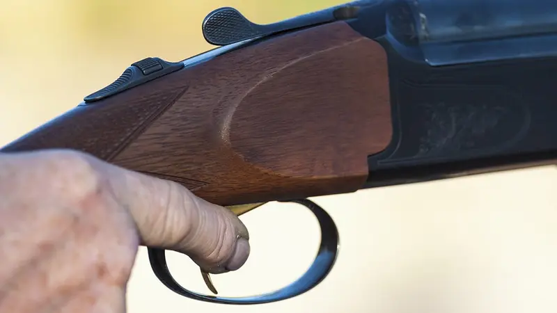 Un chasseur tire sur la voiture qui a percuté son chien