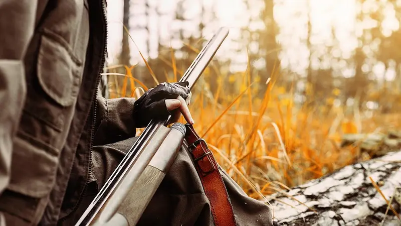 Un chasseur tué accidentellement par son chien : BFMTV estime qu’il s’agit de « la revanche des animaux »