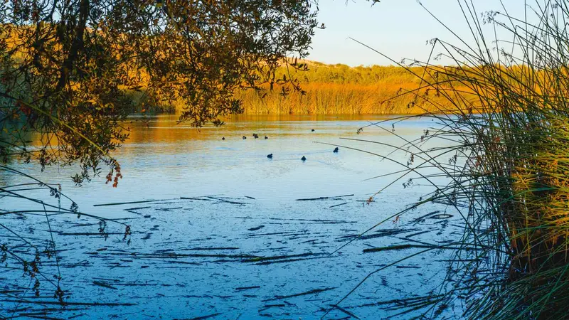 Ce que les chasseurs font et que les écologistes oublient de dire !