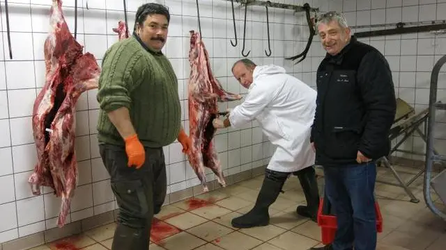 chasseurs-sanglier