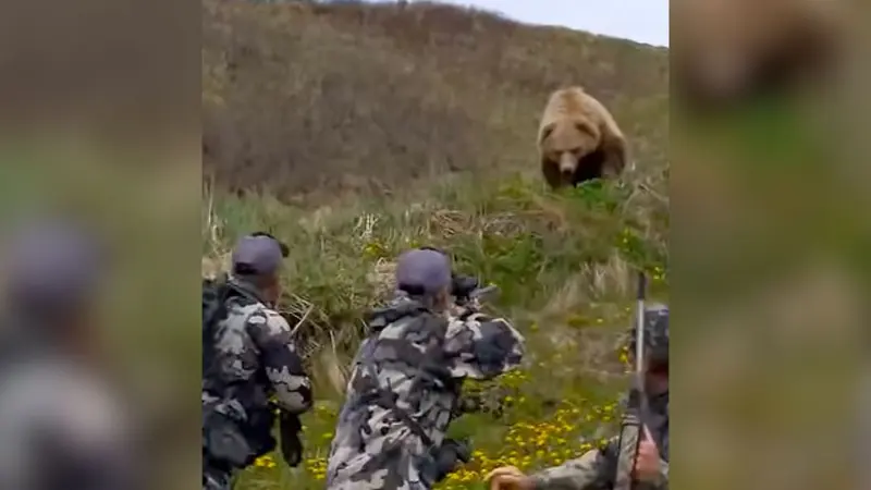 chasseurs vs ours
