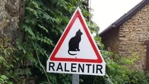 Corrèze : les habitants installent un panneau « ralentir » à cause du nombre de chats trop important