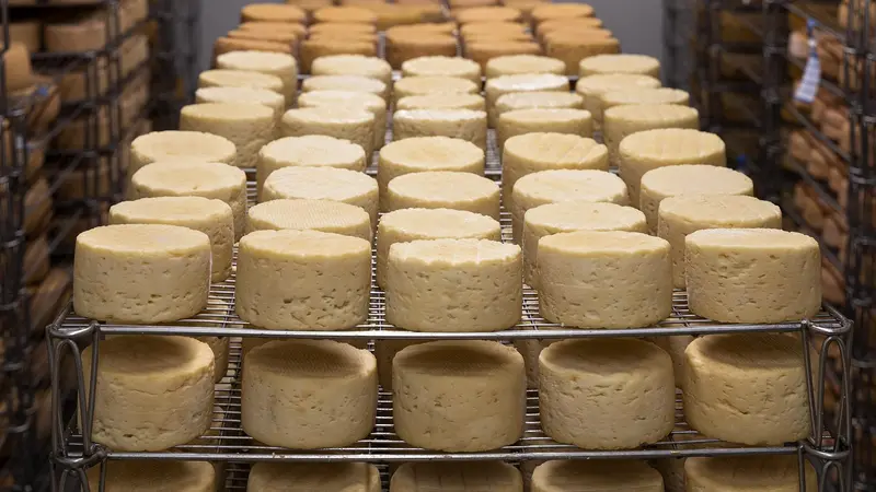 Après plusieurs cas de listériose et un redressement judiciaire, un fabricant de fromages végans va reprendre du service