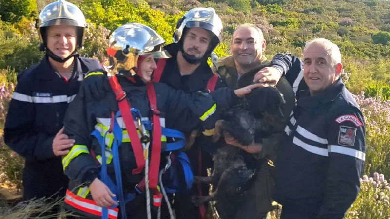 Samedi matin à Jas-de-Clare dans le Var un chien de chasse fut sauvé de la noyade par les pompiers.