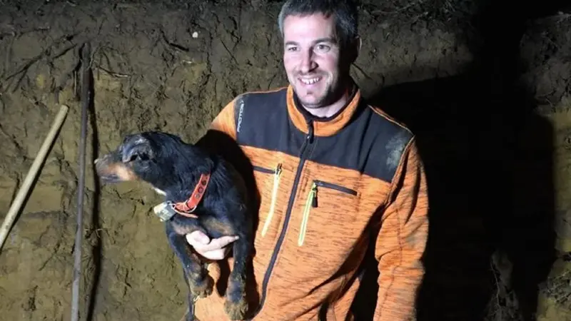 Un chien de chasse sauvé après avoir passé 6 jours sous terre