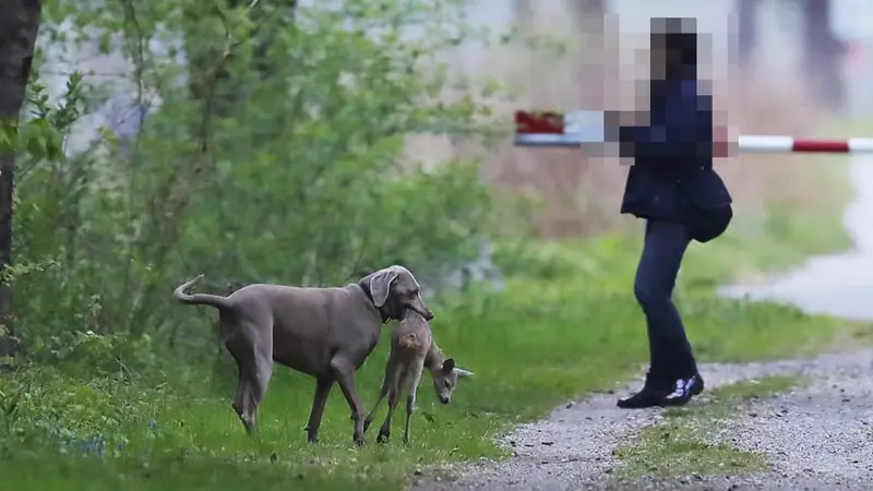 La photo qui révèle une triste réalité