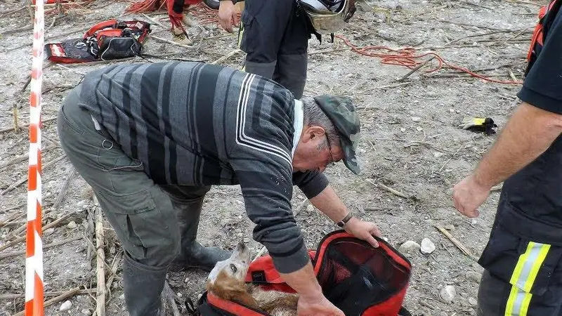 Les pompiers du GRIMP à la rescousse d’un chien