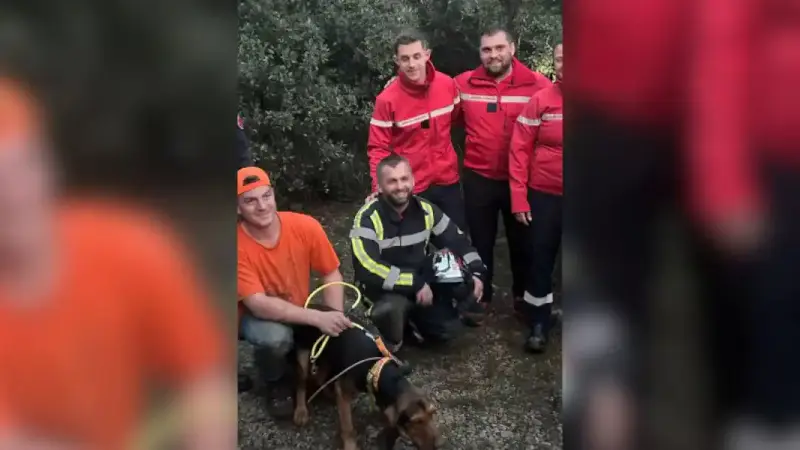 chien sauvé dans le gard