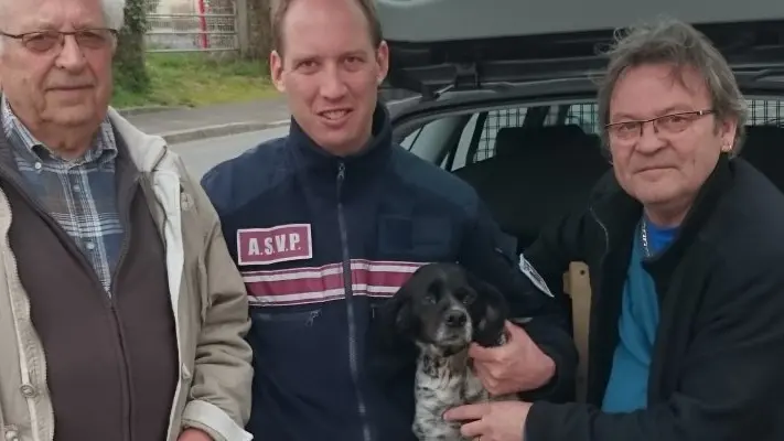 Un chien de chasse volé est retrouvé 7 mois plus tard