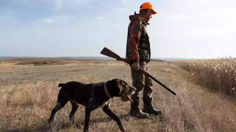 La Fédération des chasseurs de la Loire va se porter civile pour acte de barbarie sur des chiens de chasse
