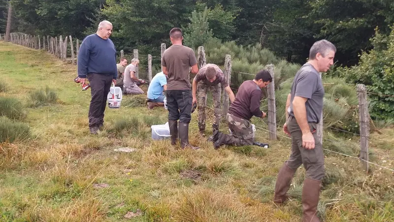 En Lozère, les chasseurs sont sur le terrain pour protéger les cultures
