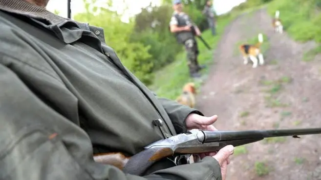 Tarn : l’ONCFS condamne 4 chasseurs dans le Tarn