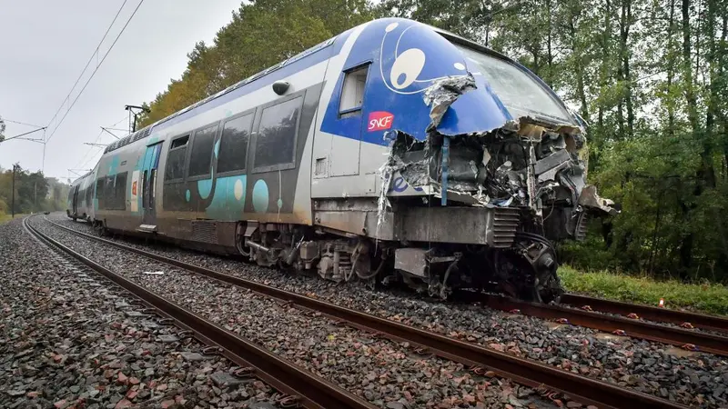 Un sanglier immobilise un TER entre Roanne et Lyon pendant huit heures