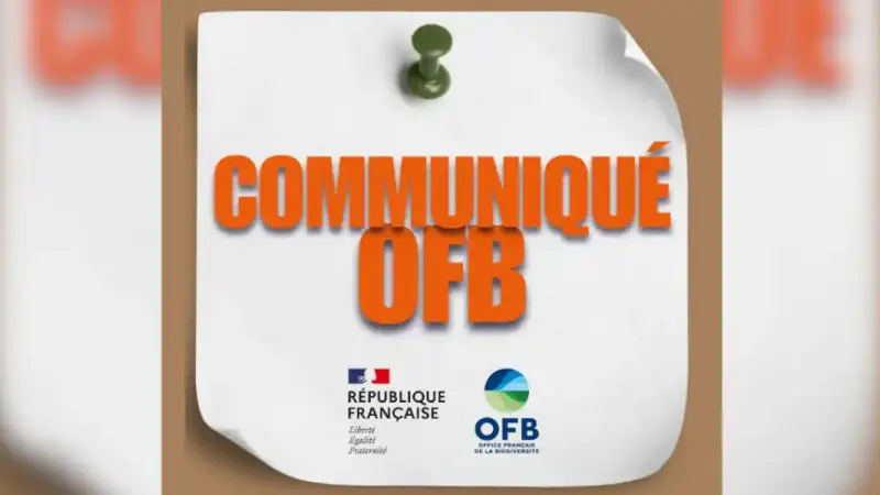 communique-OFB