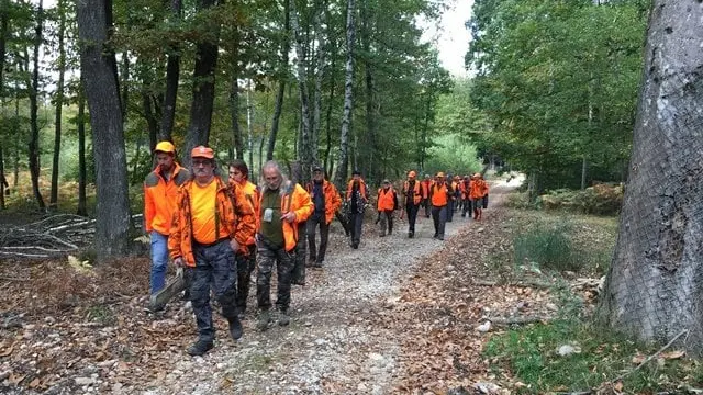 Haute-Saône : Cerf, chevreuil sanglier et chamois + ESOD