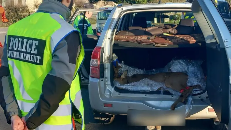 Mayenne : 137 véhicules de chasseurs contrôlés, aucune infraction constatée