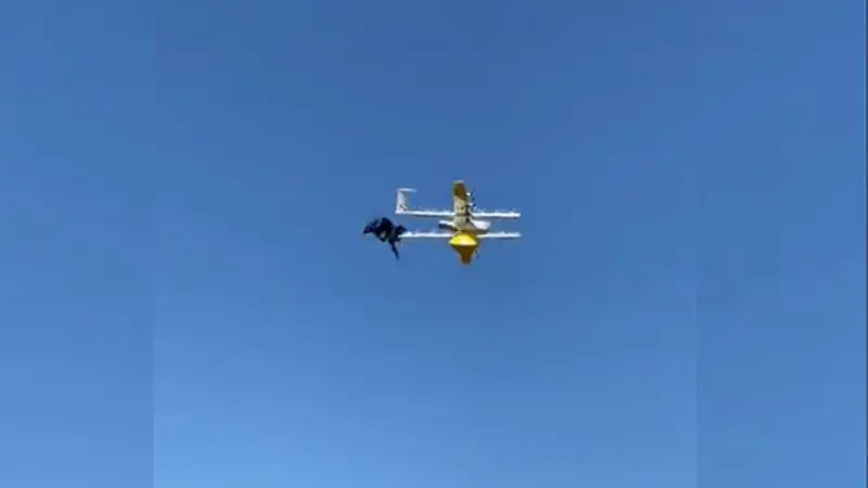Les corbeaux s’attaquent aux drones de Google en Australie