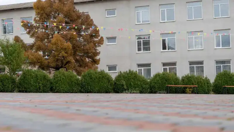 Un sanglier blesse un élève dans la cour de son lycée