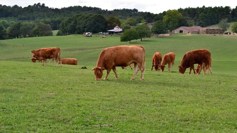 Interdiction de la chasse : « si on ne peut plus chasser le dimanche, moi j’interdis le passage sur mes terres »