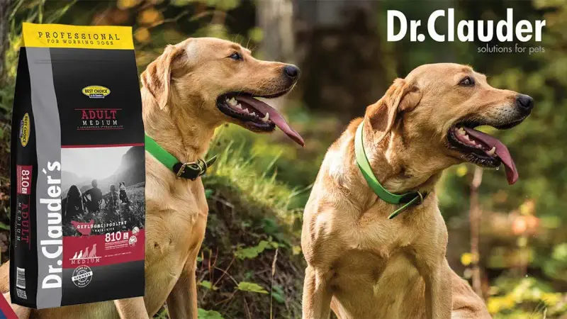 Dr Clauder’s, une belle alternative à Royal Canin