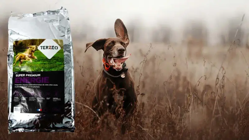 Croquettes Terzéo, une autre bonne alternative à Royal Canin