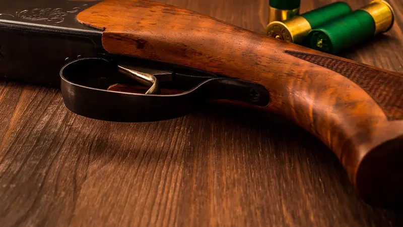 La crosse des fusils de chasse