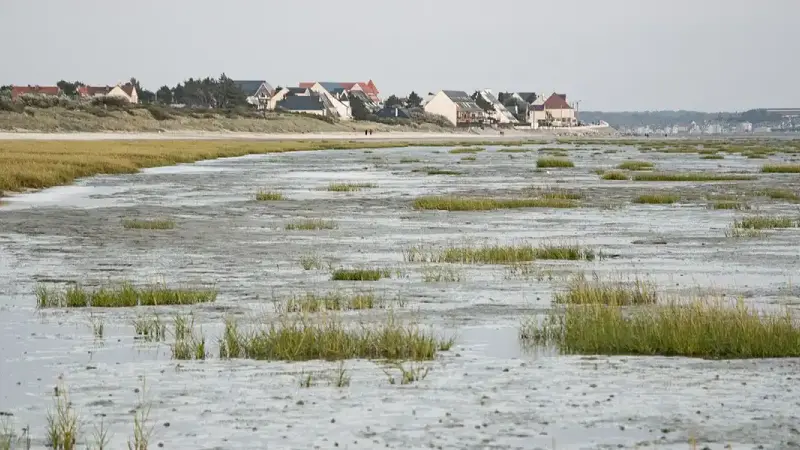 Un écologiste radical a tenté de provoquer les chasseurs de la baie de Somme