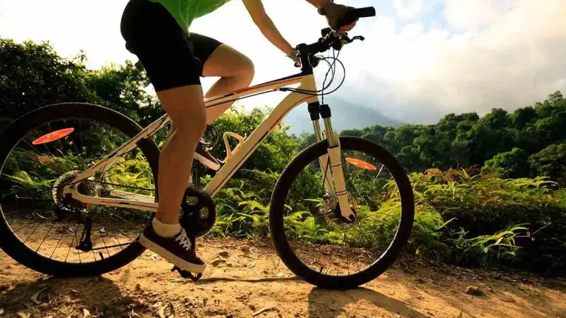 cycliste percuté par un sanglier
