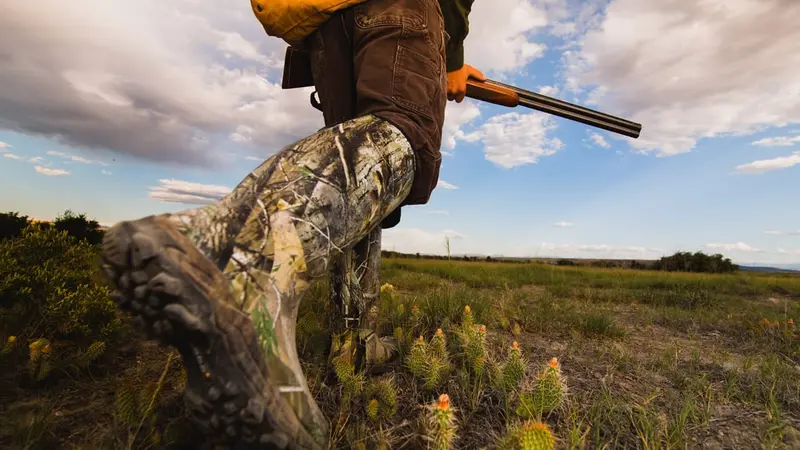 Les dates d'ouverture et de fermeture de la chasse 2019 2020