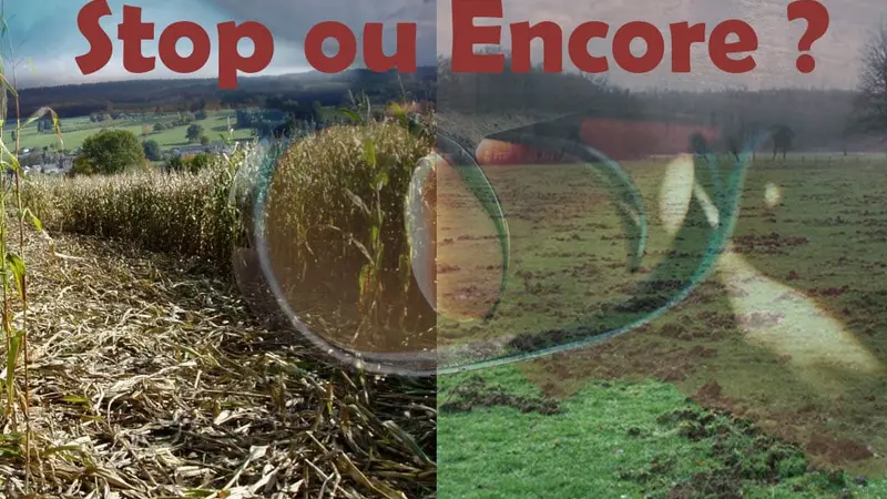 Dégâts et pression sur les chasseurs : pourquoi arrêter la chasse pendant un an n’est pas la solution ?