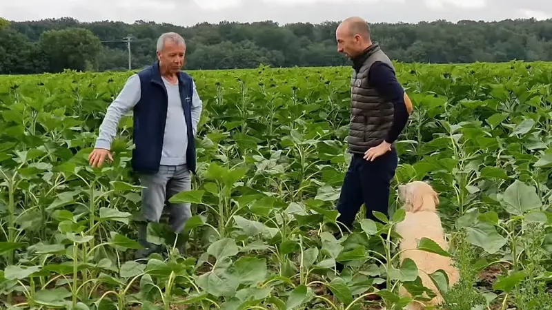 Les dégâts des cervidés (reportage)